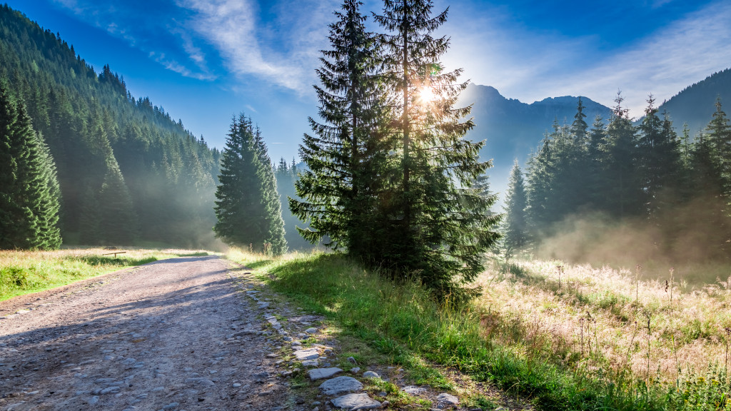 доброго ранку мотивація