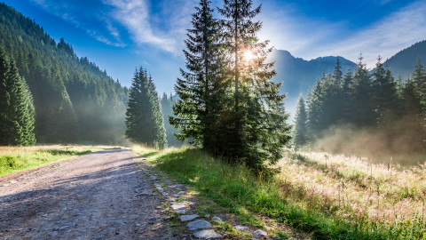 доброго ранку мотивація